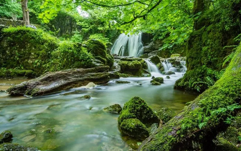高质量智能高性能